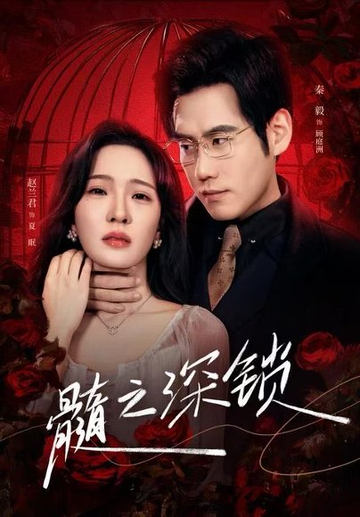 髓之深锁（84集）赵兰君&秦毅 高清完整版