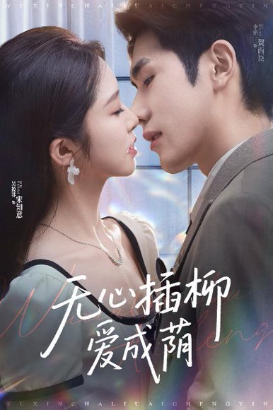 无心插柳爱成荫（50集）李铂一&吴毅非 高清完整版